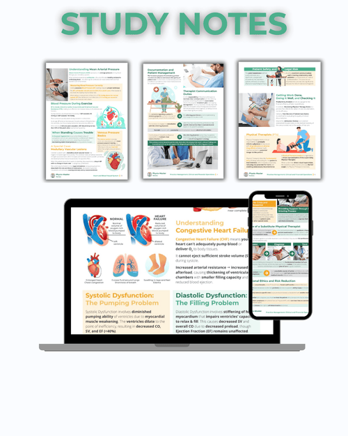 physio study bundle